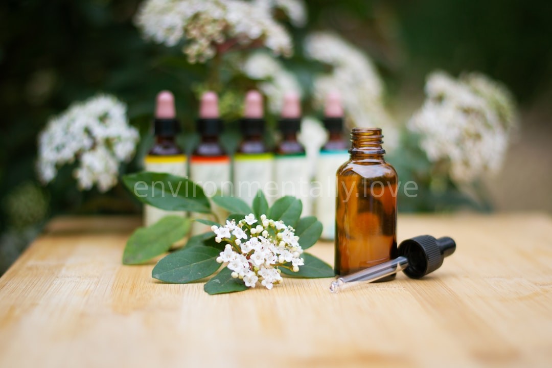 Nature and Aromatherapy